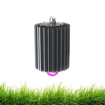 Профи v2.0 100 Фито 120°